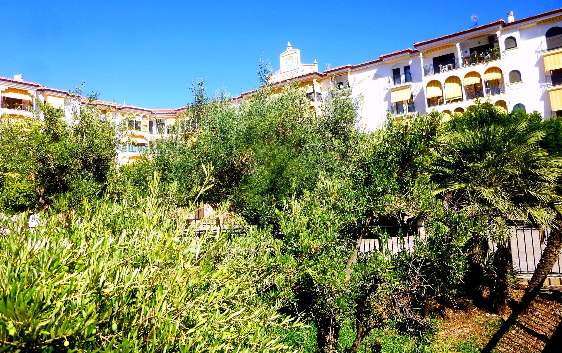 De smala gatorna i gamla stan