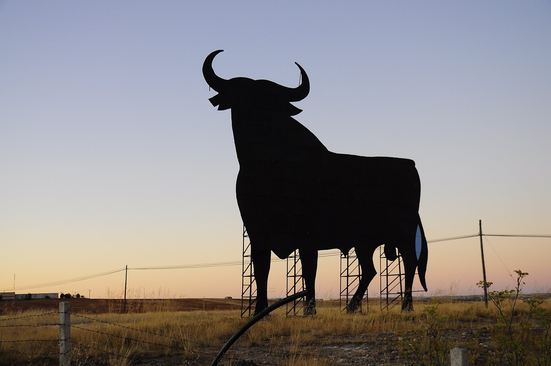 Puesta de sol tras un toro: la silueta negra luce en su máximo esplendor sobre un cielo coloreado