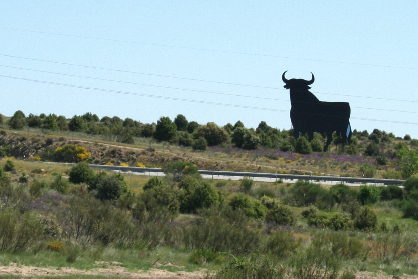 Cabanillas de la Sierra: el primer toro de España