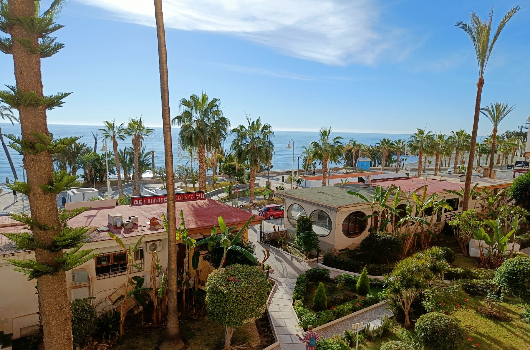El jardín, las palmeras y el mar una mañana de enero