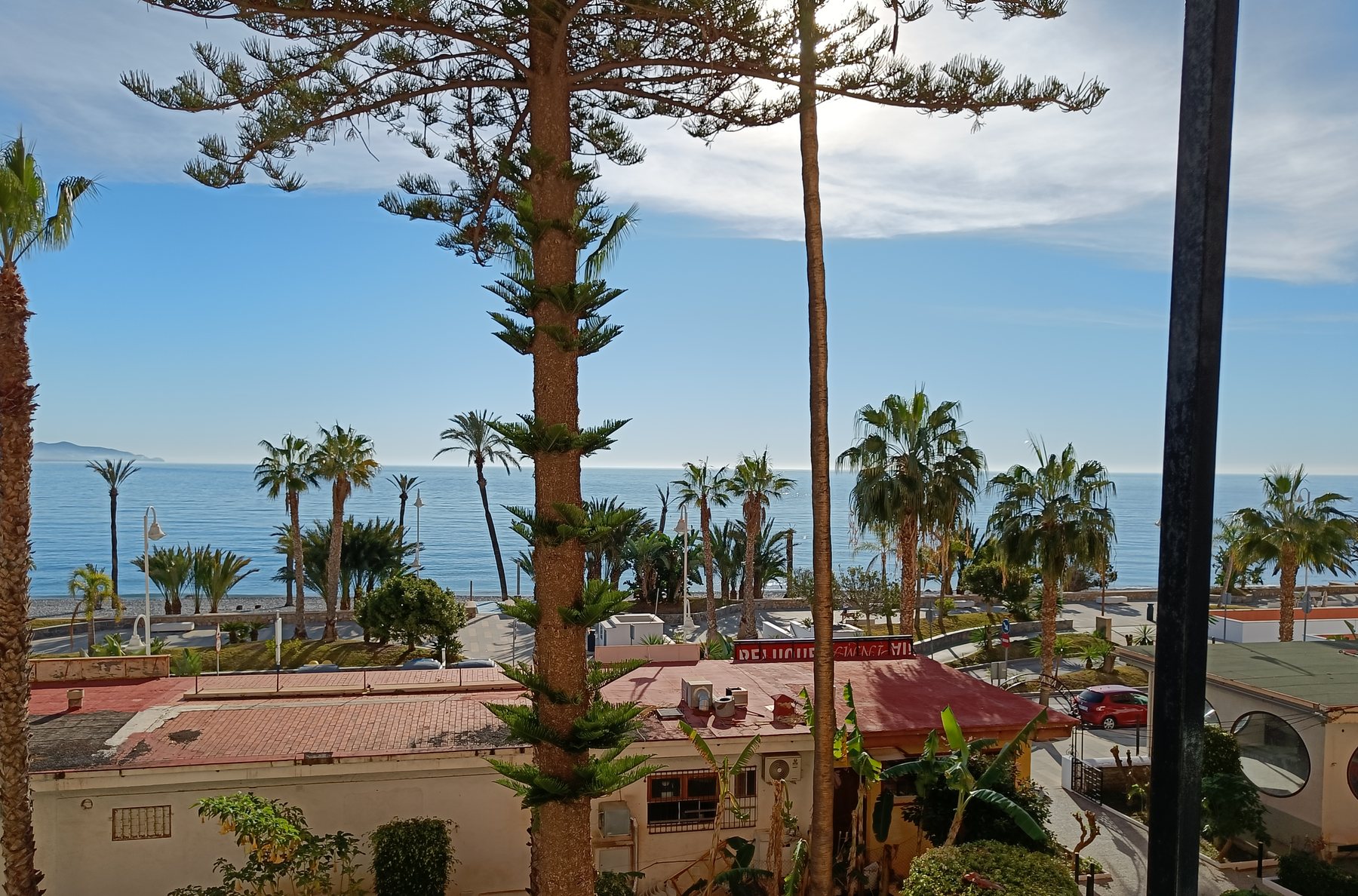 Palmeras y mar azul desde el balcón