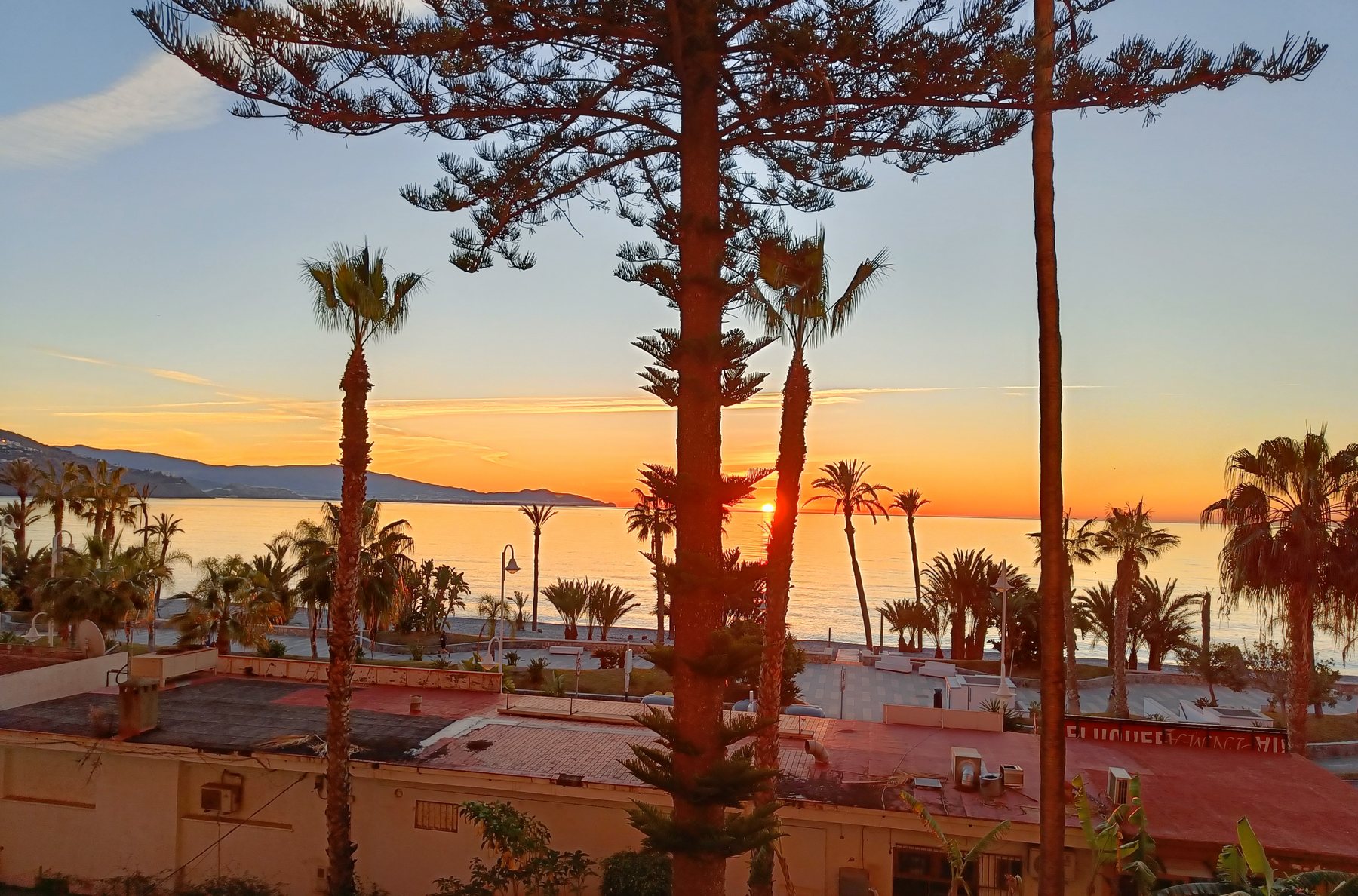 Amanecer entre las palmeras