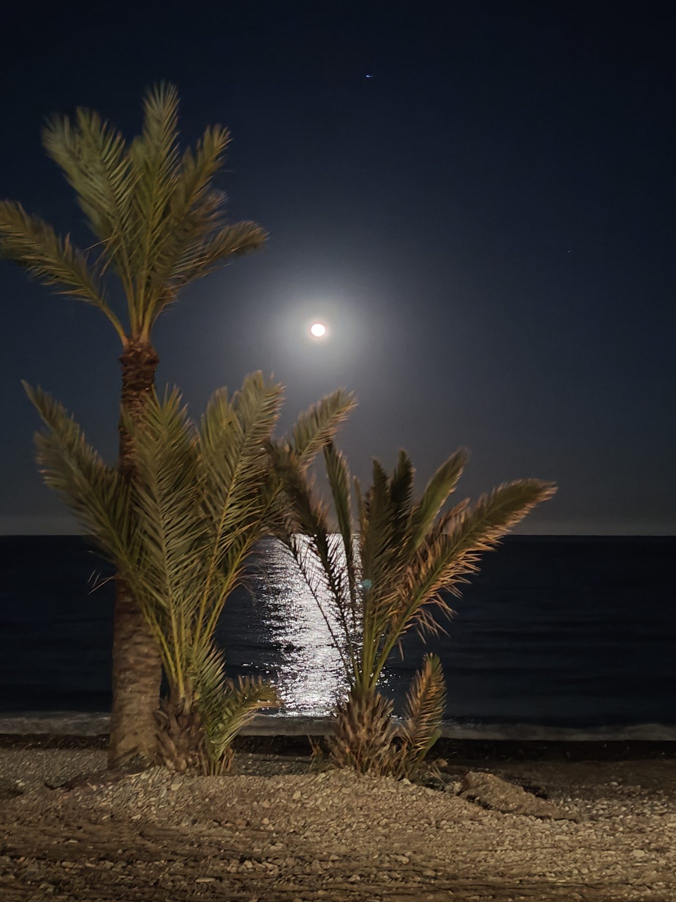 La luna y las palmeras en la playa
